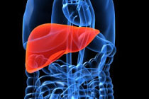 Иллюстрация с сайта cancer.battlingforhealth.com