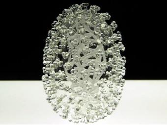 Стеклянная модель вируса гриппа H1N1. Изображение с сайта www.lukejerram.com
