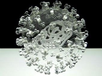 Стеклянный вирус A/H1N1, фото с сайта lukejerram.com