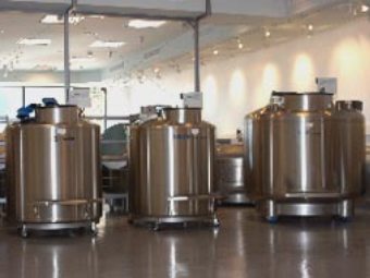 Криогенные хранилища стволовых клеток. Изображение с сайта www.stemcellservices.com