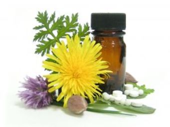 Изображение с сайта www.herbalremediesinfo.com