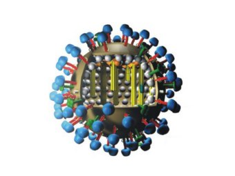 Вирус гриппа, иллюстрация с сайта scienceprogress.org