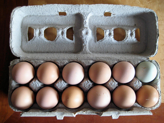 Фото с сайта genrecookshop.com