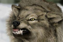Иллюстрация с сайта hubpages.com