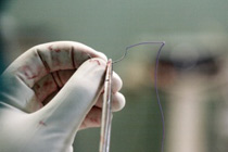 Фото с сайта www.sciencephoto.com