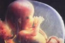 Фото с сайта lifebeginsatconception.com