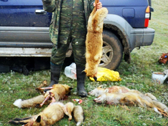 Фото пользователя FoxHunter с форума talks.guns.ru