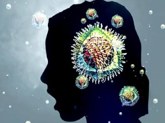 Иллюстрация с сайта health-niche.com