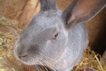 Фото с сайта img14.photobucket.com