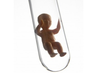 Иллюстрация с сайта thesignsofpregnancy.com