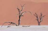 фото gettyimages.com 