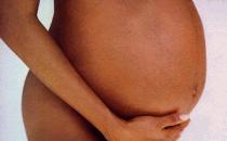 Иллюстрация Pregnancy.mb.ca