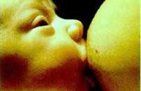 Овуляция зачатие ощущения женщины Овуляция зачатие ощущения женщины