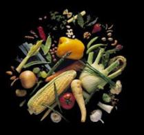 Иллюстрация Healthy-eating.com