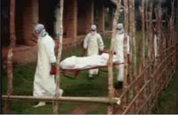 Лихорадки Эбола и Марбург. Фото с сайта www.healthineurope.tv
