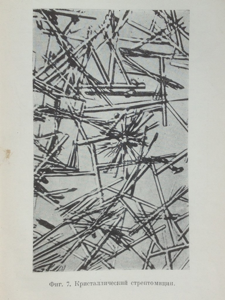 Кристаллический стрептомицин. Фото из лаборатории Зельмана Ваксмана, 1944 год.