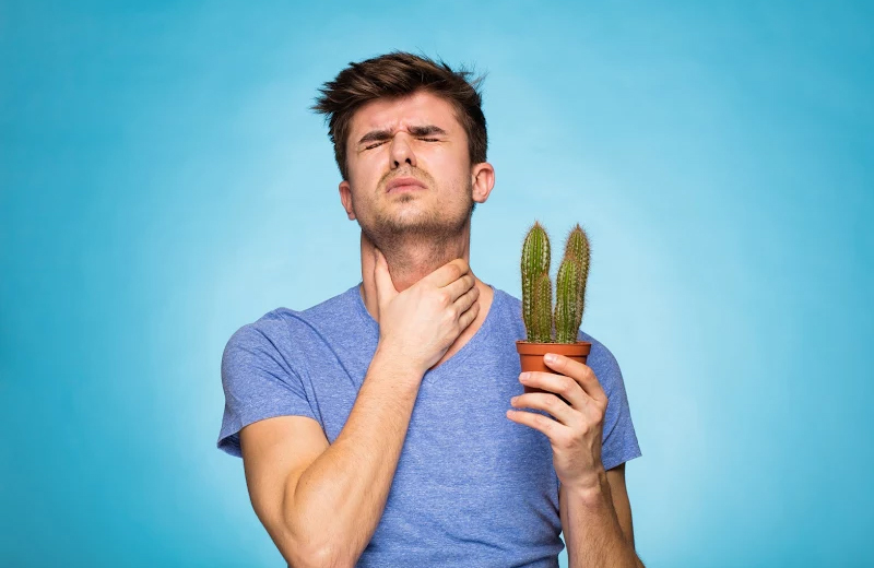 Какие причины приводят к боли в горле? 