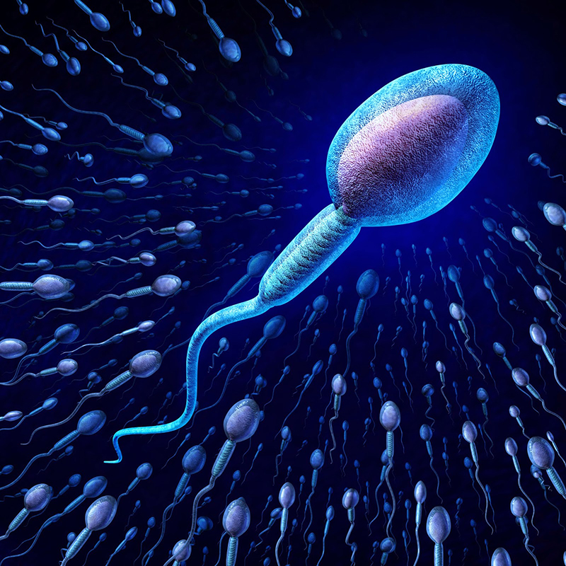 Как происходит криоконсервация спермы? — МЦРМ