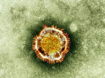 новый коронавирус