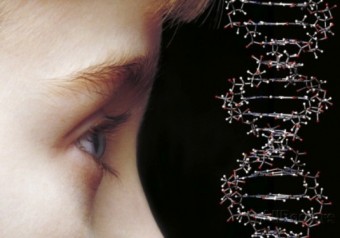 Обнаружено 12 новых генетических причин нарушений развития у детей