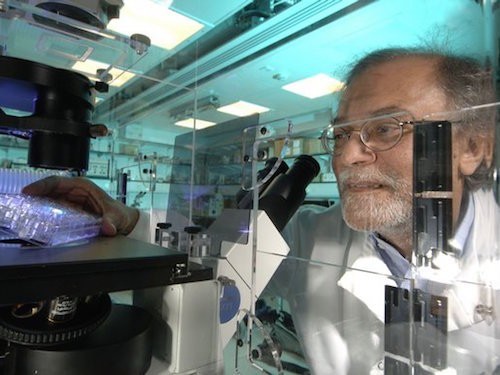 Азим Сурани в лаборатории, фото http://www.thesundaytimes.co.uk/