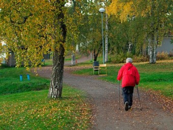 В московских парках устанавливают спортивные тренажеры для пожилых людей