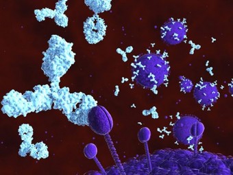 Иммунотерапия против ВИЧ впервые успешно опробована на людях