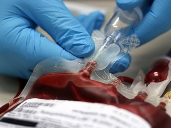 Исследователи приблизились к созданию универсальной группы крови 