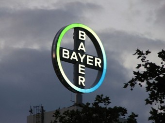  bayer    