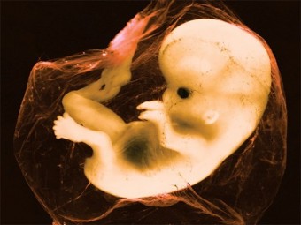 В Китае вновь занялись редактированием человеческих эмбрионов