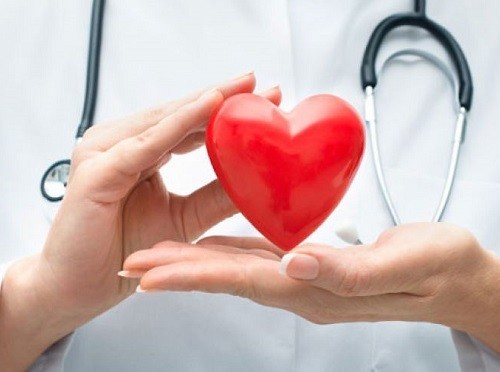 Новосибирские ученые разработали искусственное сердце