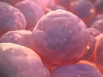 Стволовые клетки безопасны для пациентов с амиотрофическим боковым склерозом