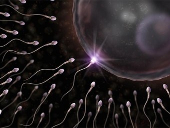 Подсчитать сперматозоиды можно будет с помощью смартфона