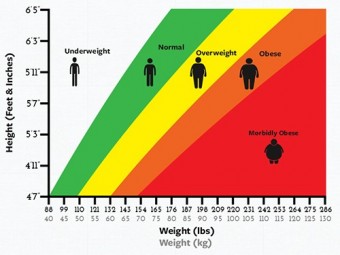 Лишний вес негативно влияет на когнитивные способности