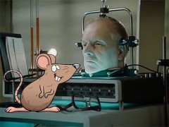 Видео новости первый канал время