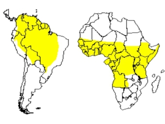 уганда