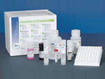 Digene HPV Test. ���� Qiagen