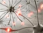 Изображение с сайта neurotransmitters-disorders.blogspot.com.