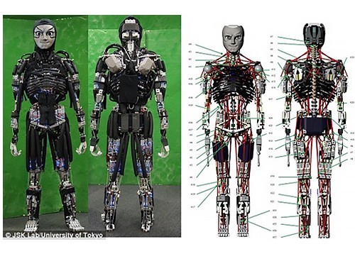 Kenshi как создать робота